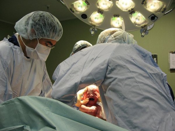 (Kép: Flickr, Rowan Simpson)